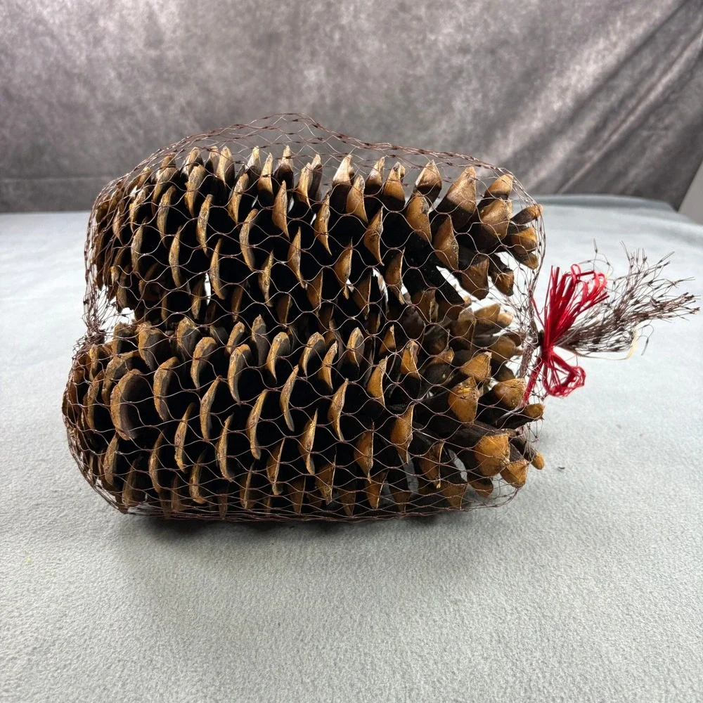 Large Natural Decorative Pine Cones Set of 3 Brown Mesh Bag Red Bow Rustic Decor